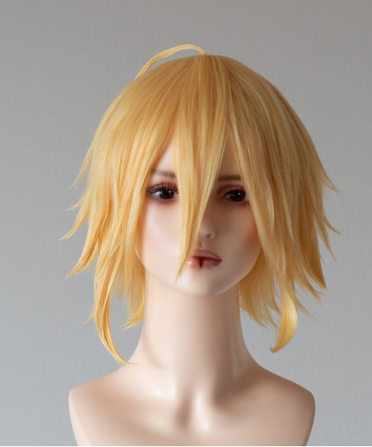 Custom wig example in Complexity 1, work 04