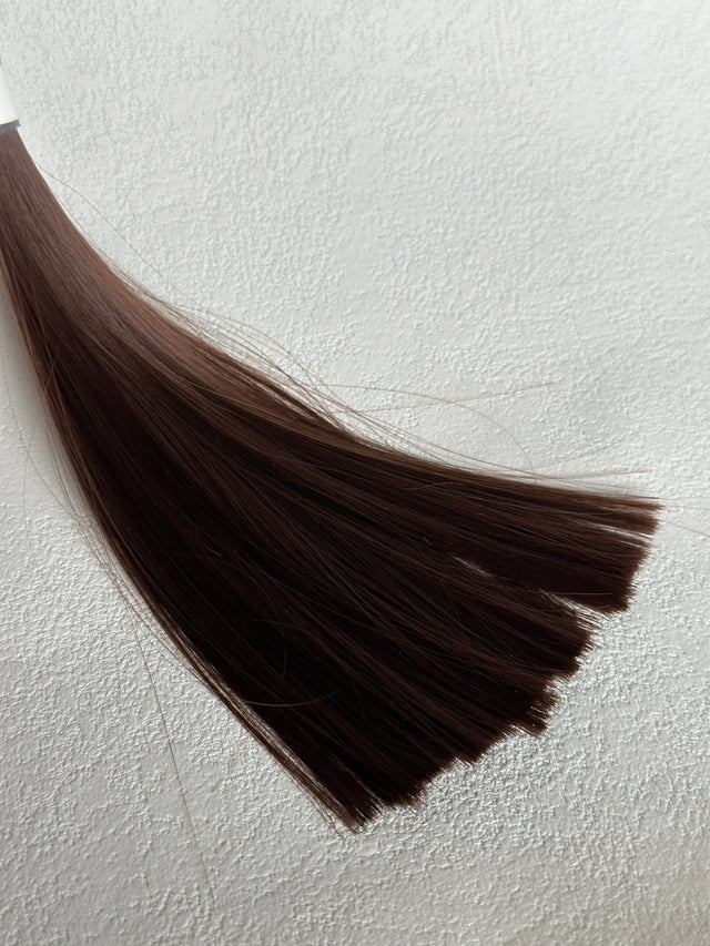 Brown 03